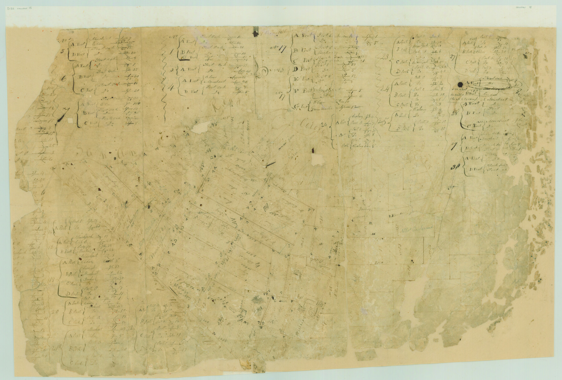 15, [Surveys in Austin's Colony along the San Antonio Road and the Colorado River], General Map Collection