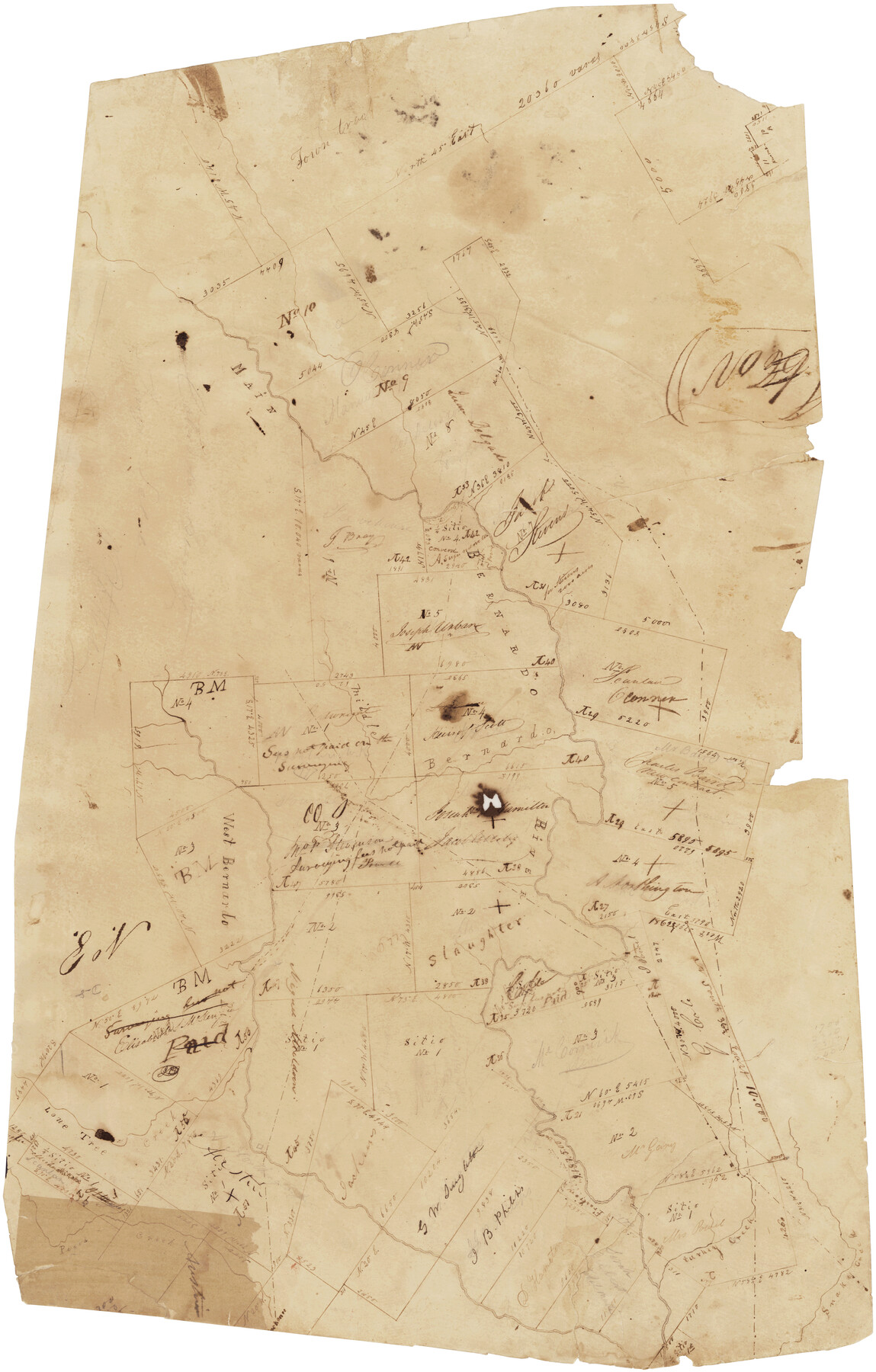 194, [Surveys in Austin's Colony along the San Bernardo River, West Bernardo River, and Lone Tree Creek], General Map Collection
