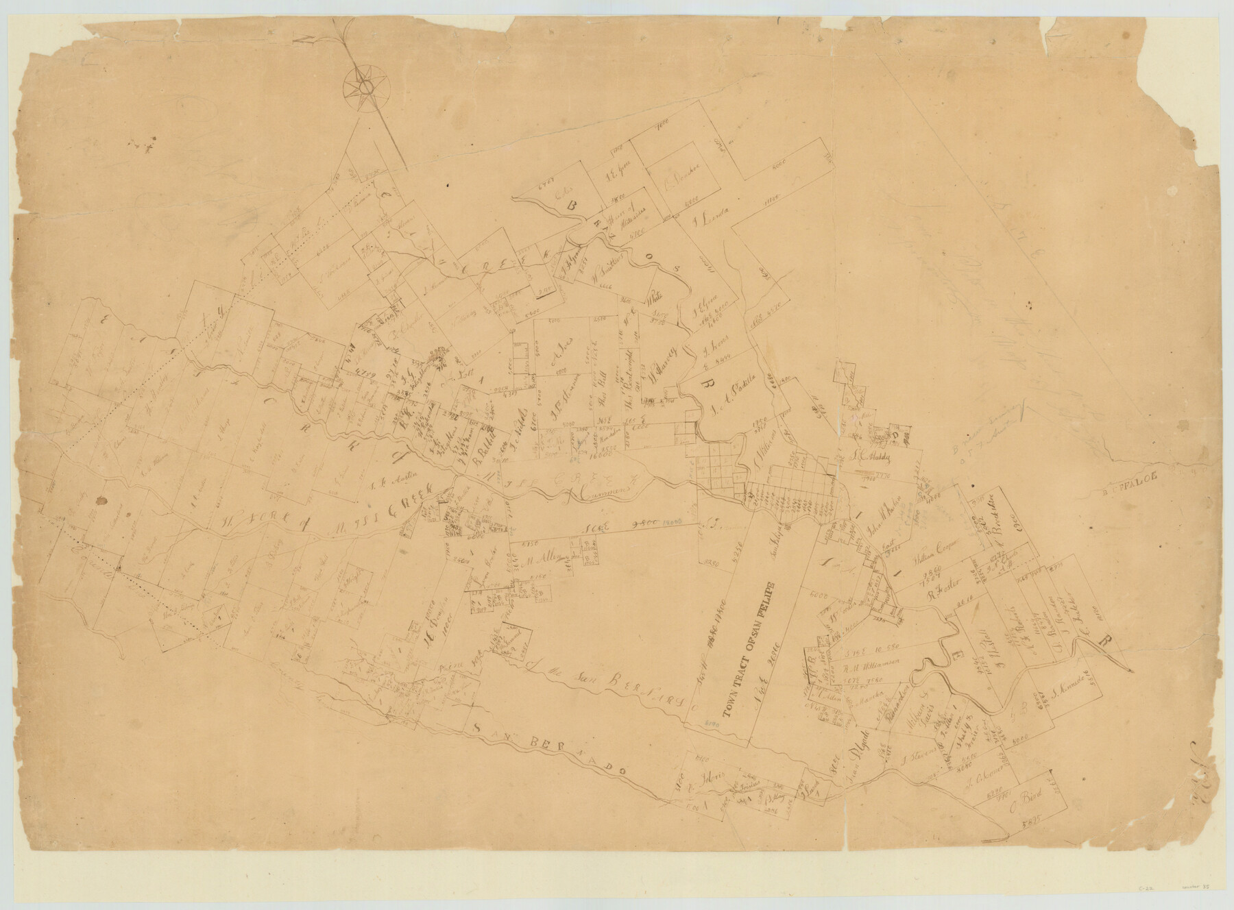 35, [Surveys in Austin County], General Map Collection