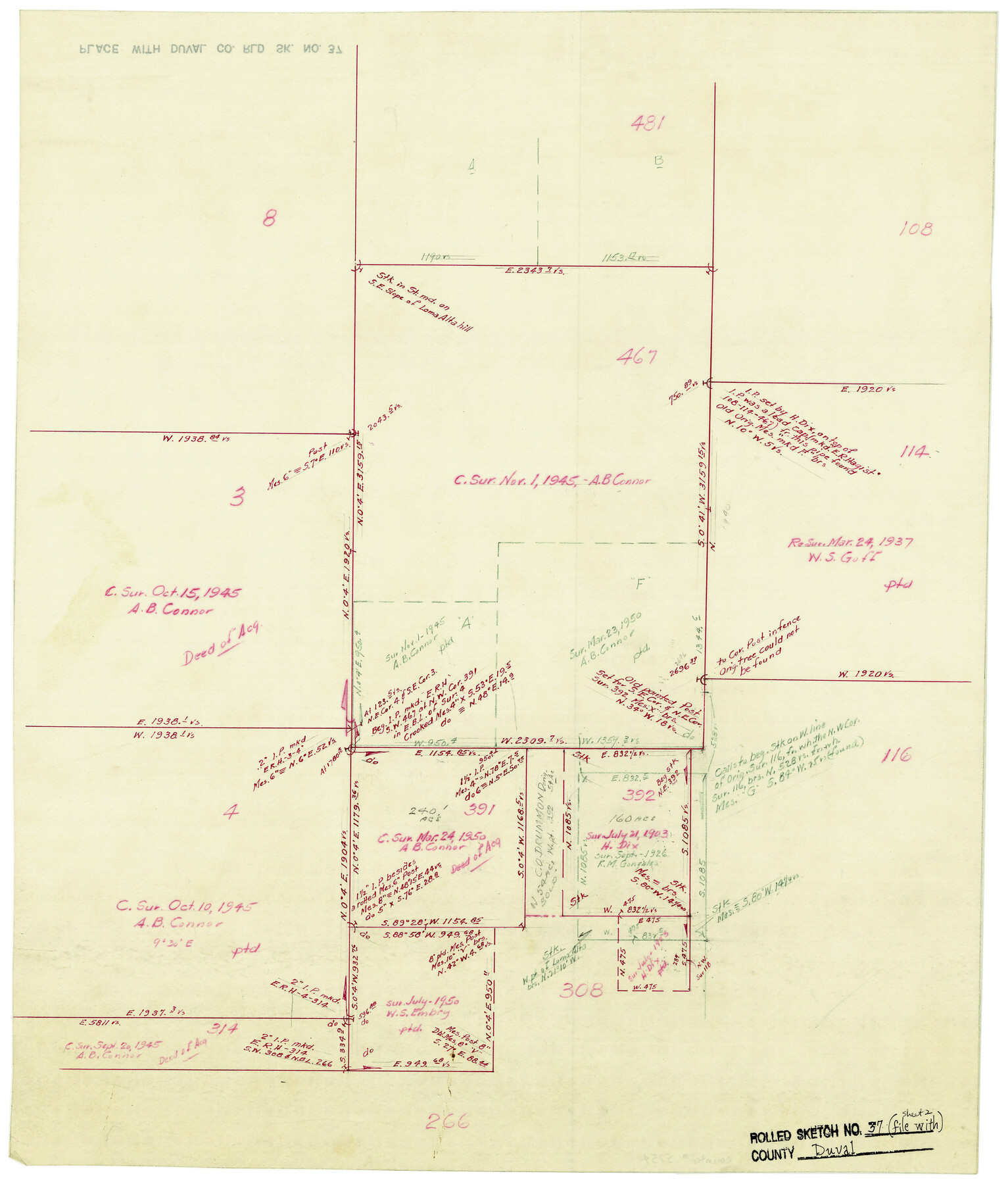 5754, Duval County Rolled Sketch 37, General Map Collection
