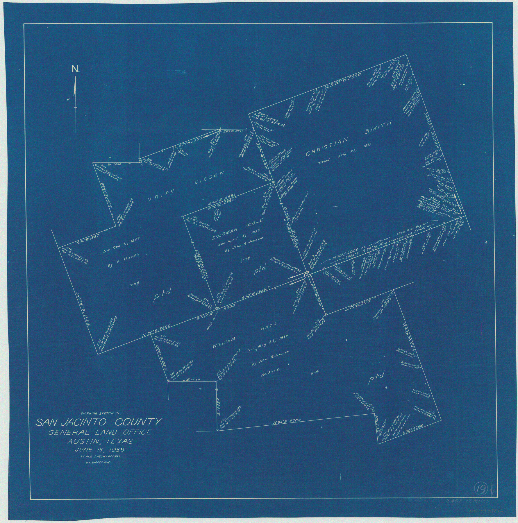 63732, San Jacinto County Working Sketch 19, General Map Collection