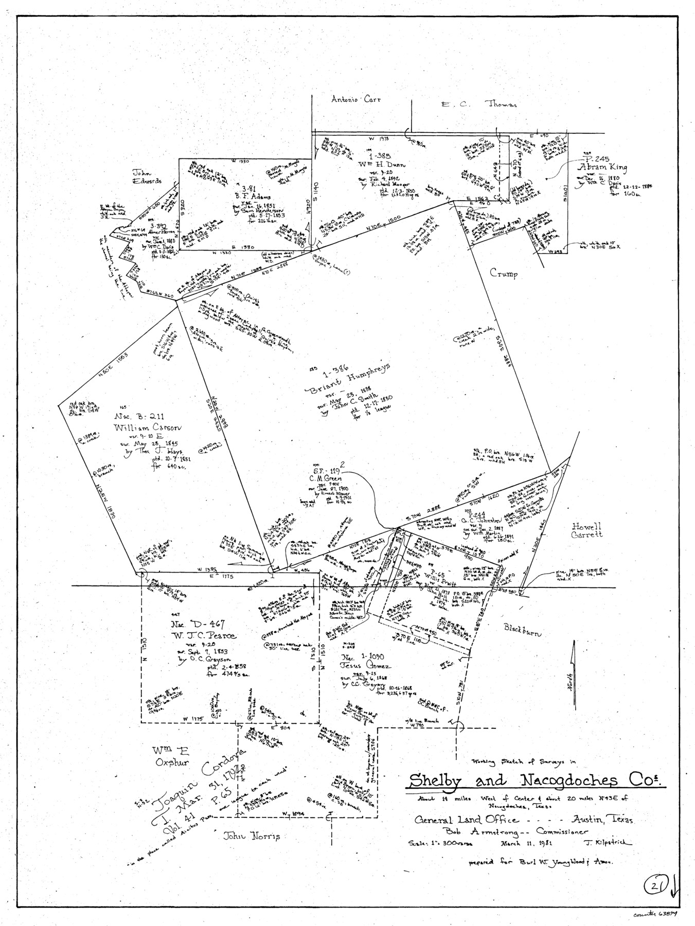 63874, Shelby County Working Sketch 21, General Map Collection