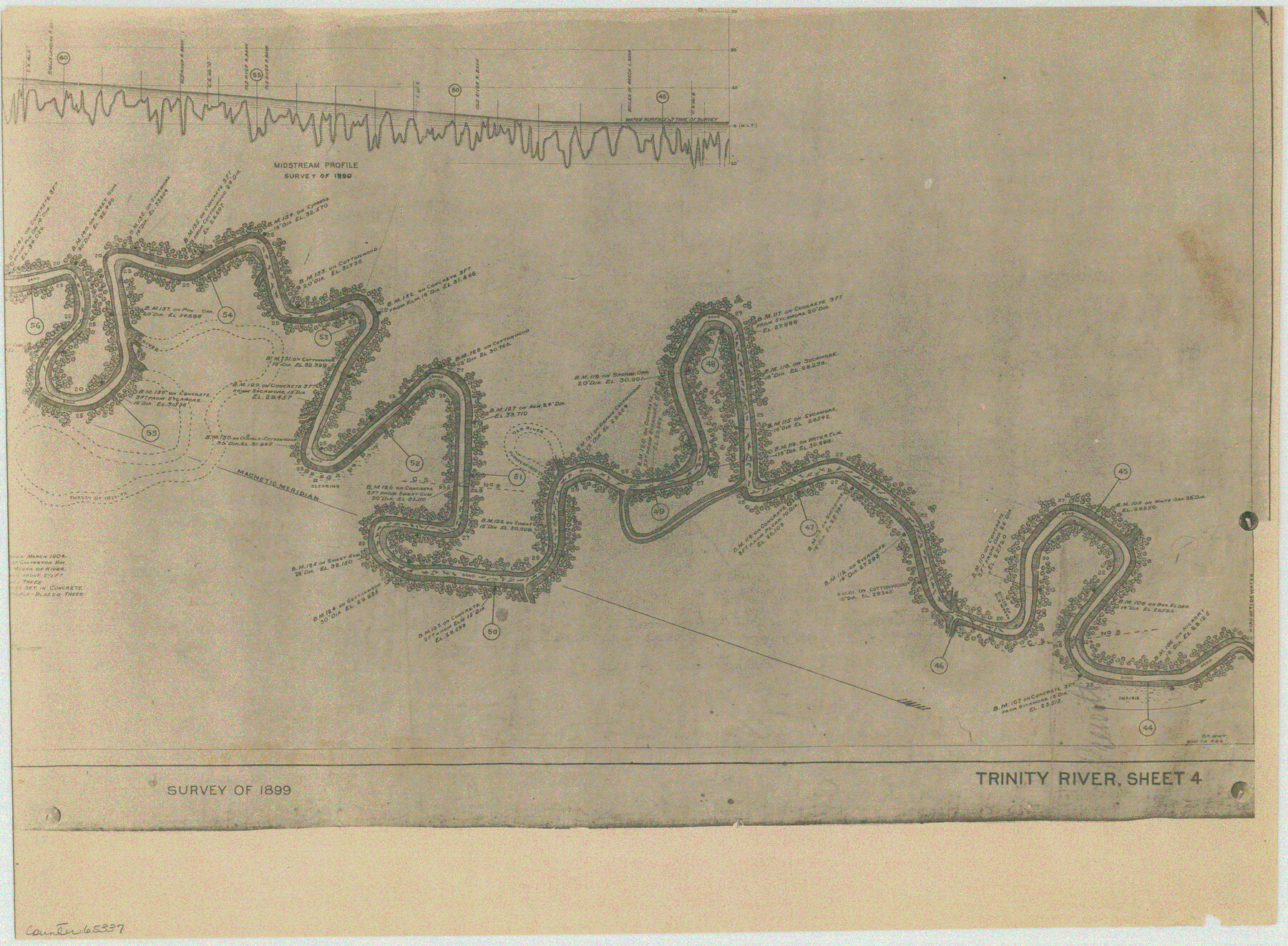 65337, [Plat of Trinity River w/ Midstream Profile in Liberty County by US Government 1899], General Map Collection