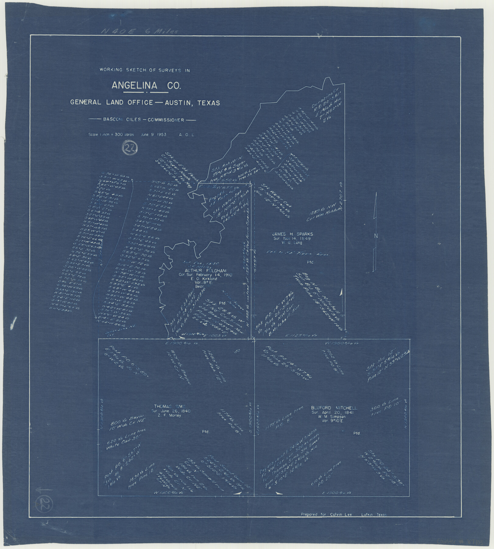 67103, Angelina County Working Sketch 22a, General Map Collection