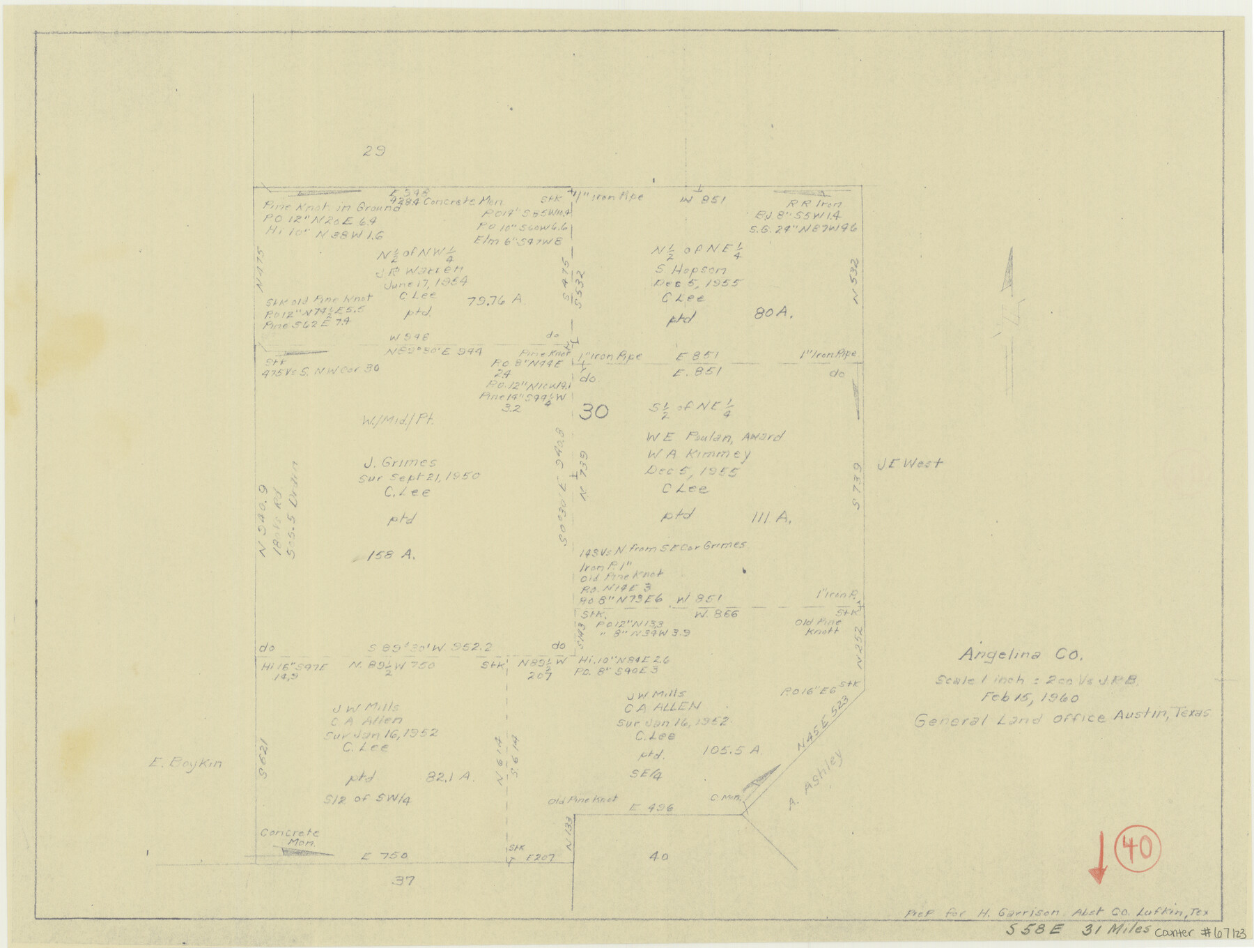 67123, Angelina County Working Sketch 40, General Map Collection