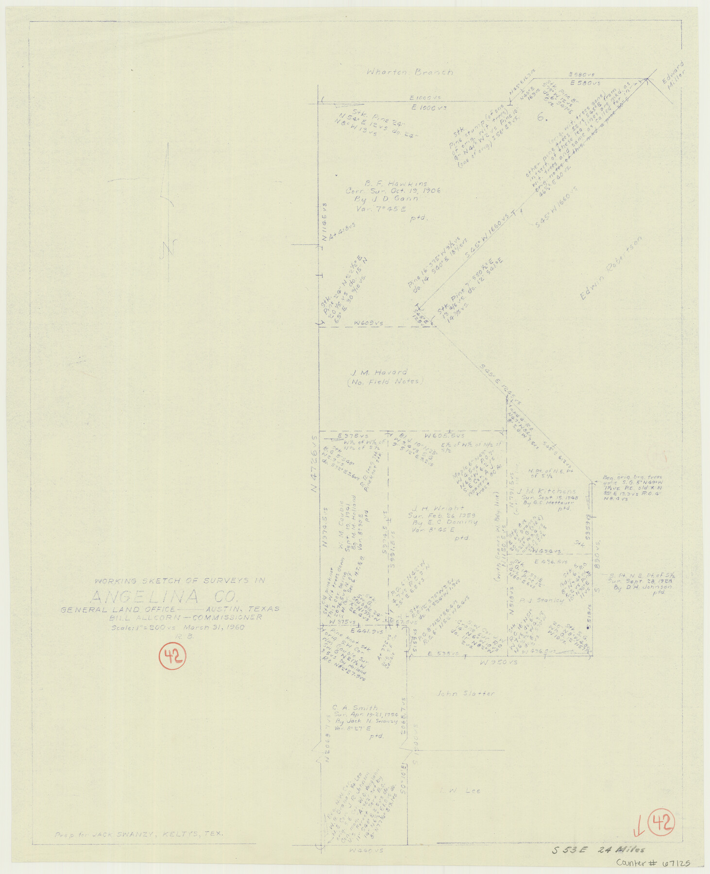 67125, Angelina County Working Sketch 42, General Map Collection