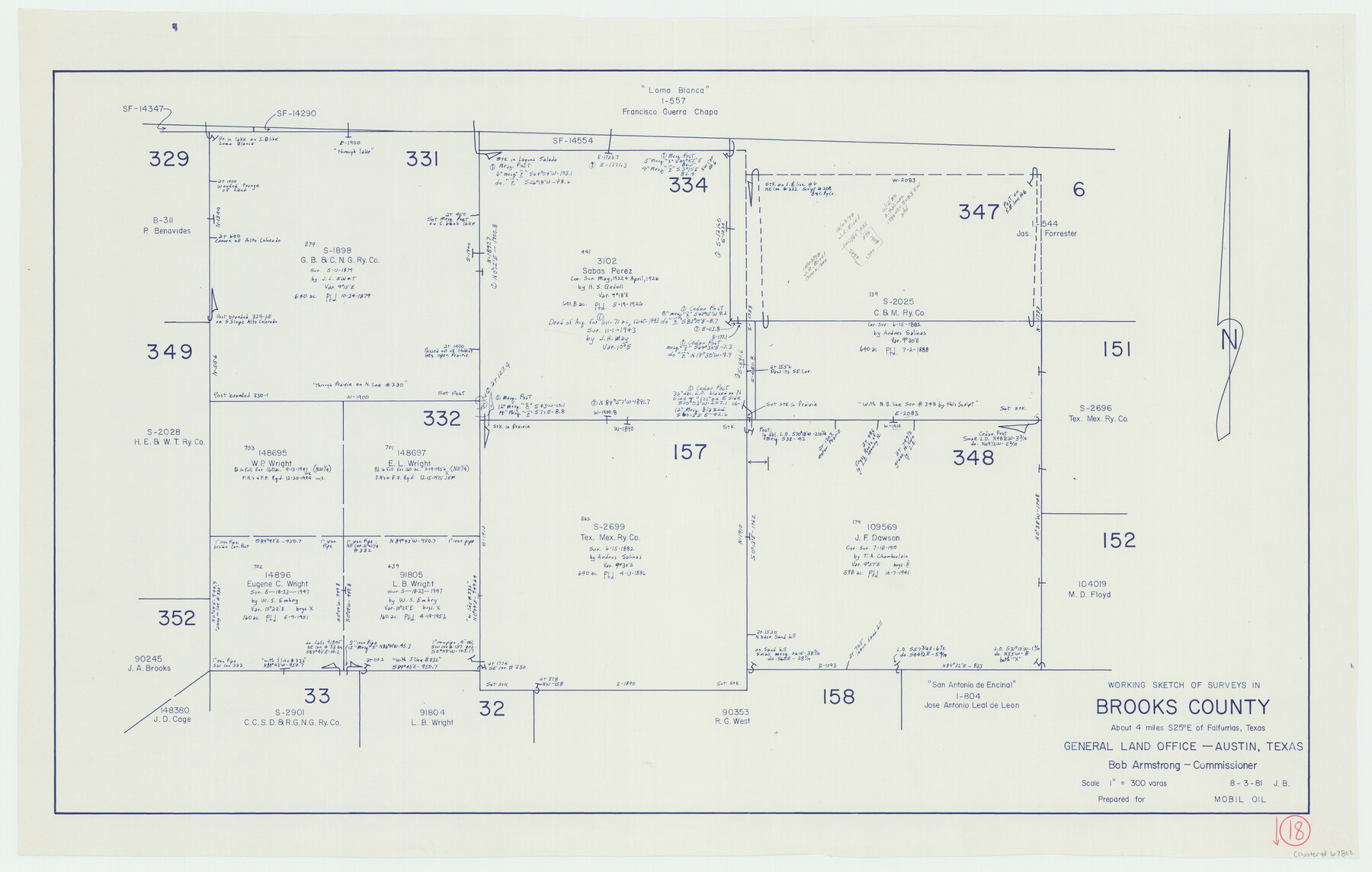 67802, Brooks County Working Sketch 18, General Map Collection