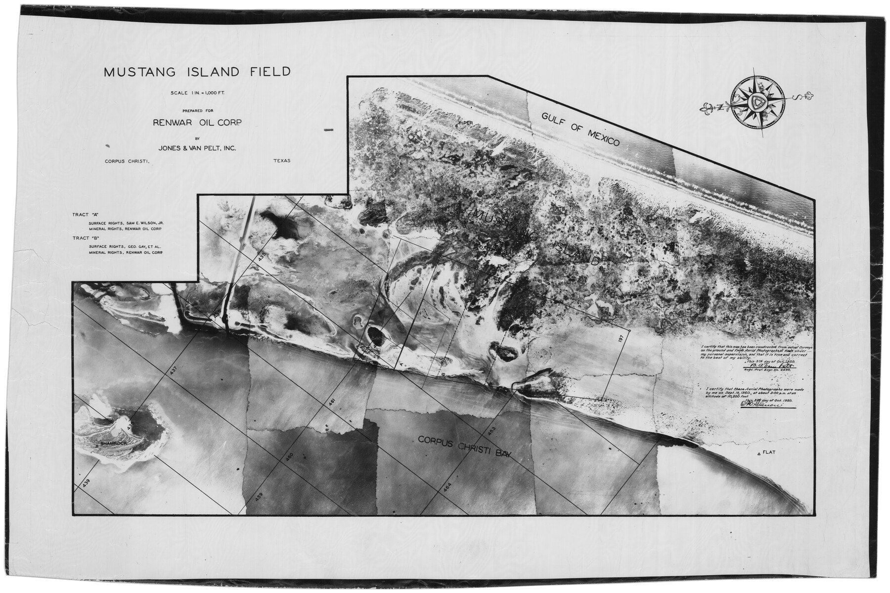 6878, Nueces County Rolled Sketch 37, General Map Collection
