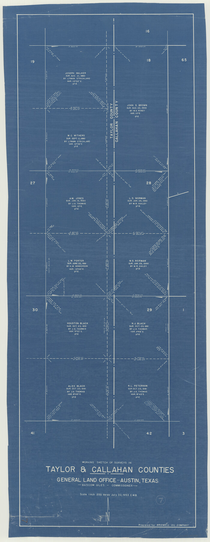 69617, Taylor County Working Sketch 7, General Map Collection