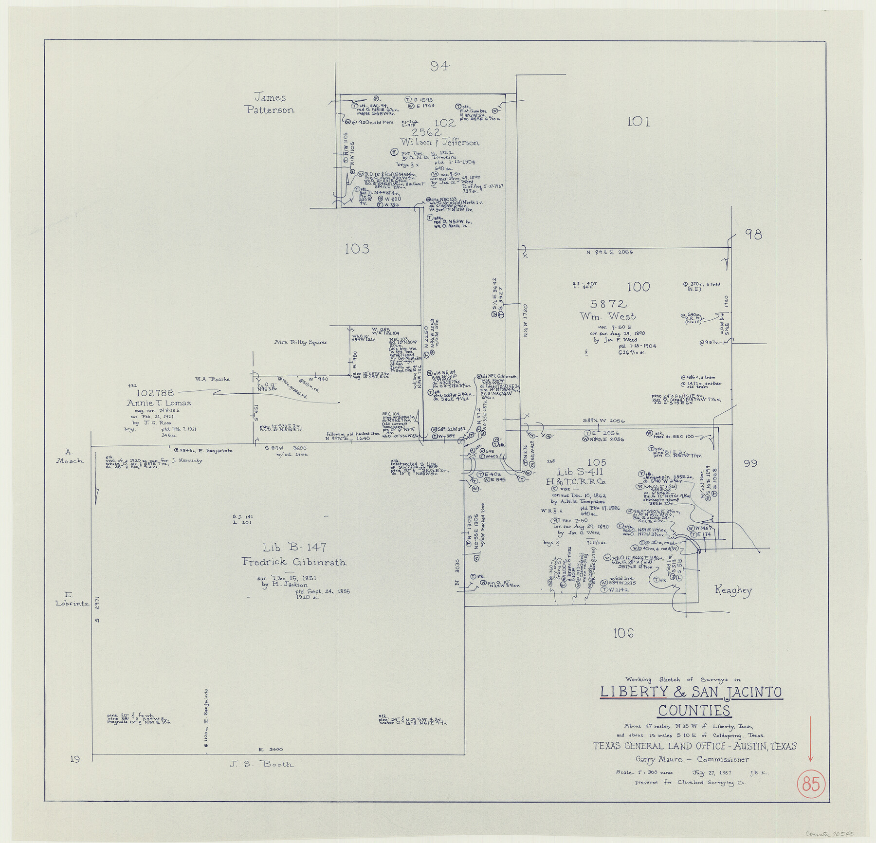 70545, Liberty County Working Sketch 85, General Map Collection