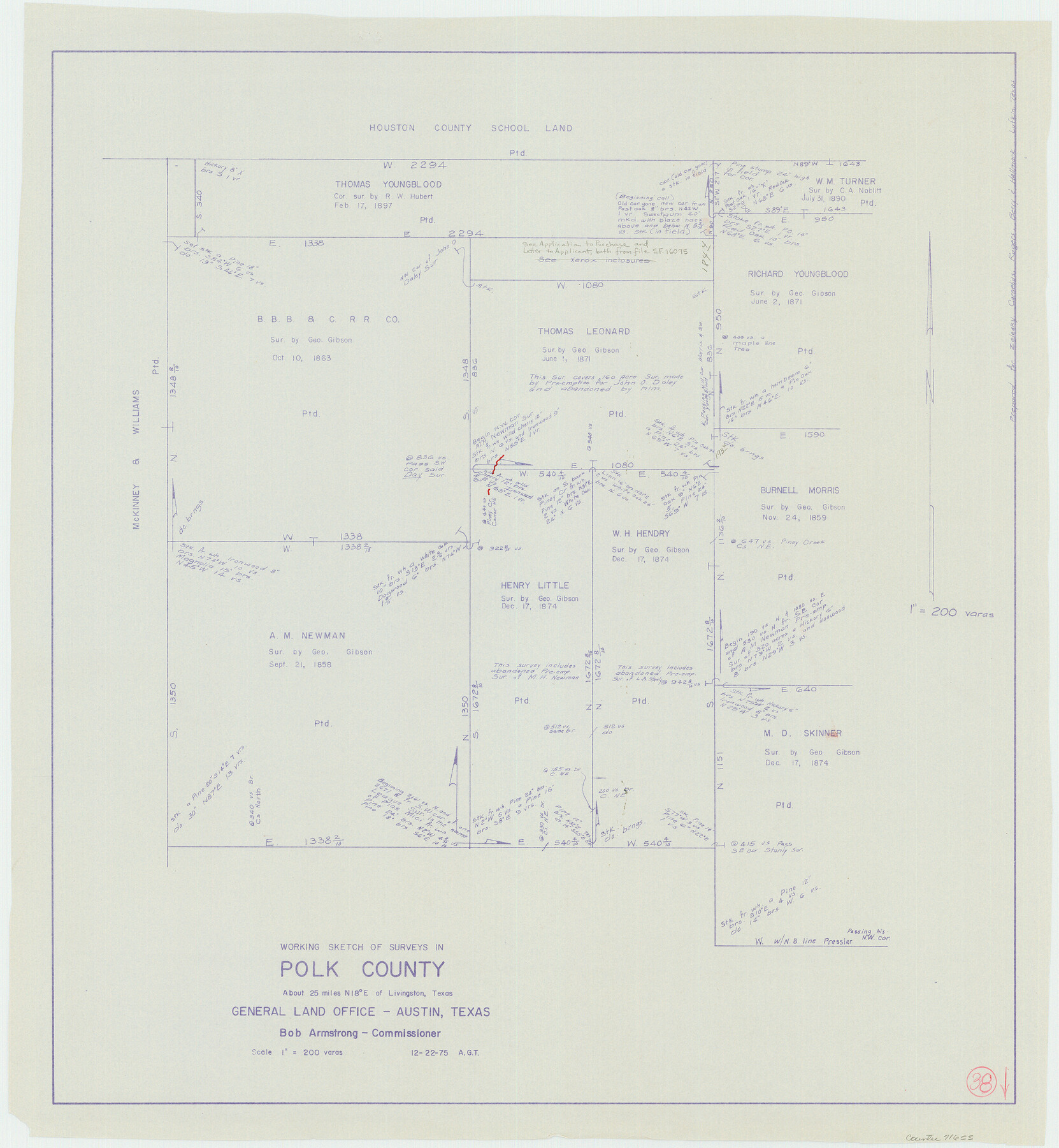 71655, Polk County Working Sketch 38, General Map Collection