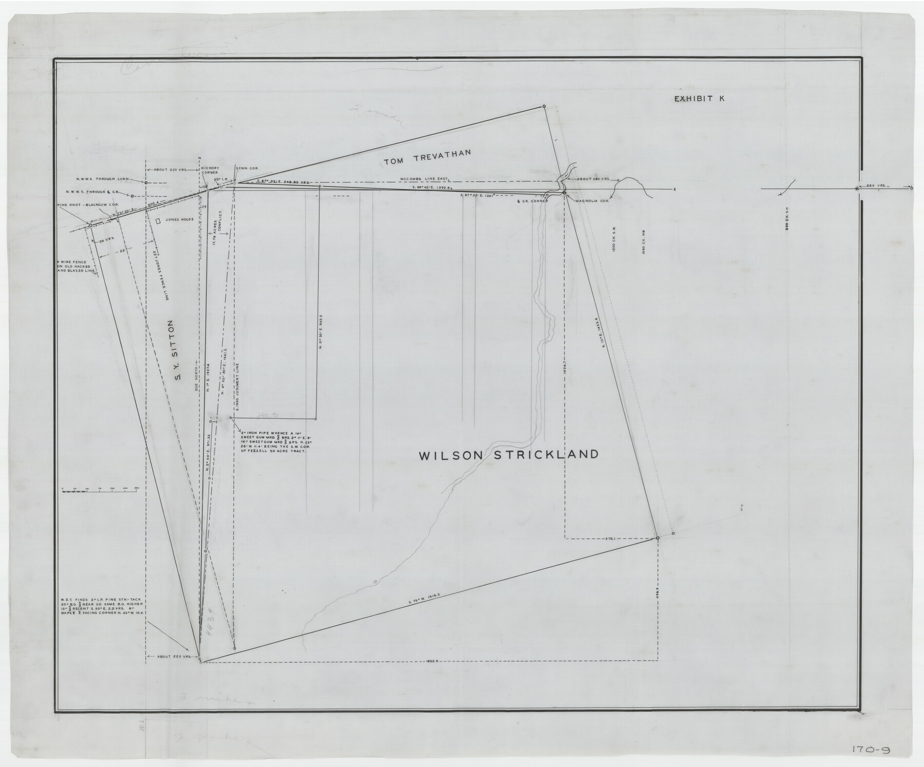 91374, [Wilson Strickland Survey], Twichell Survey Records