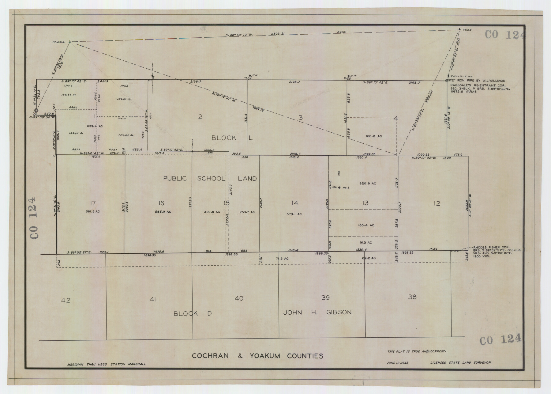 92513, Cochran and Yoakum Counties, Texas, Twichell Survey Records