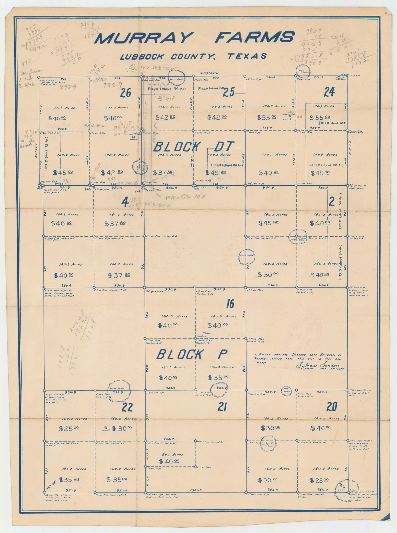 92875, Murray Farms, Twichell Survey Records