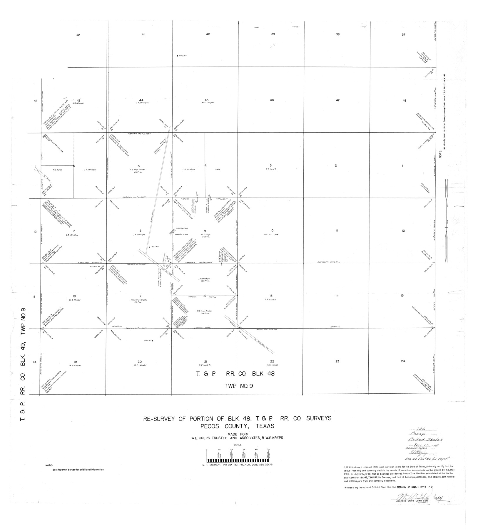 9724, Pecos County Rolled Sketch 126, General Map Collection