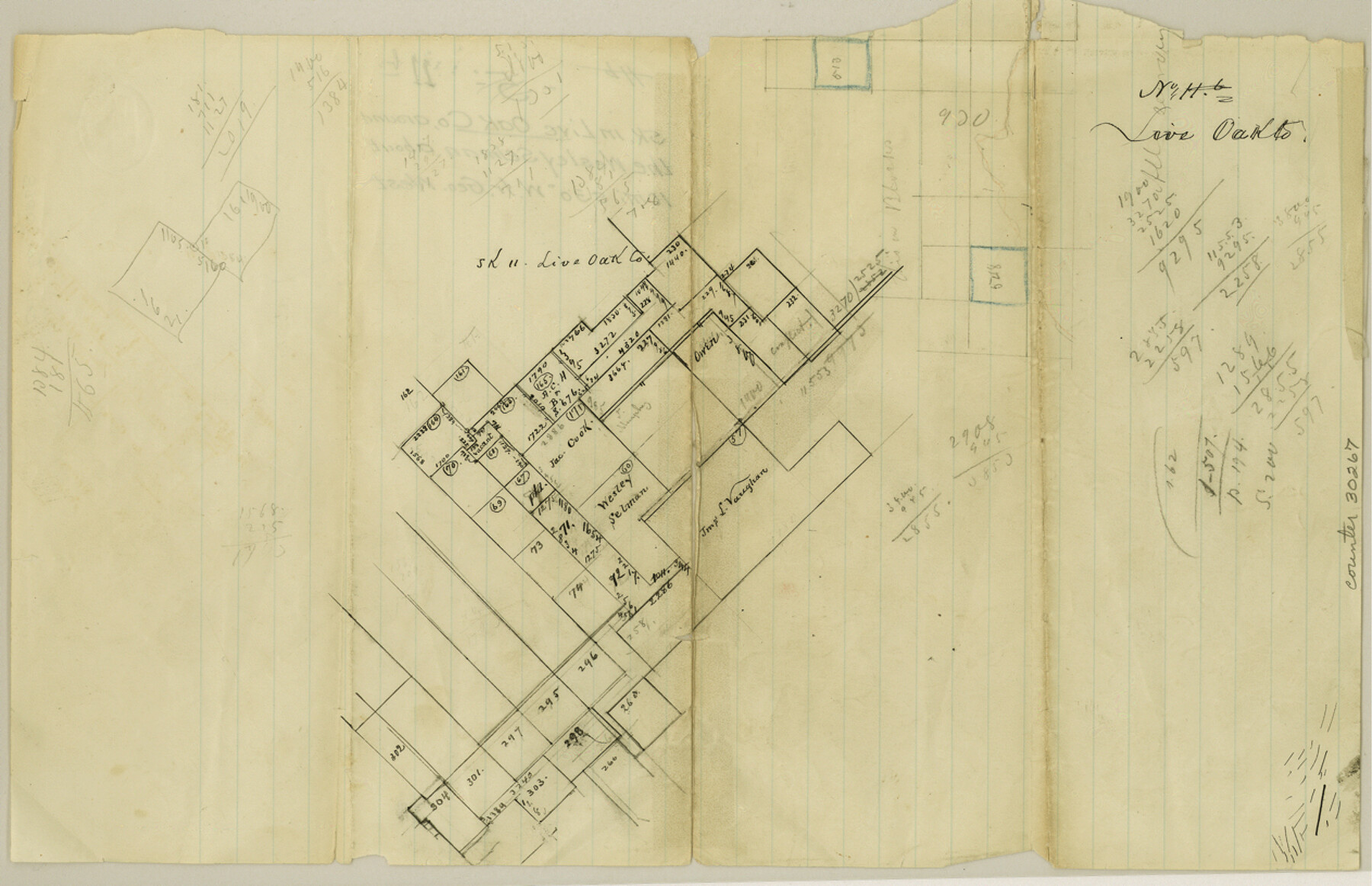 30267, Live Oak County Sketch File 11b, General Map Collection