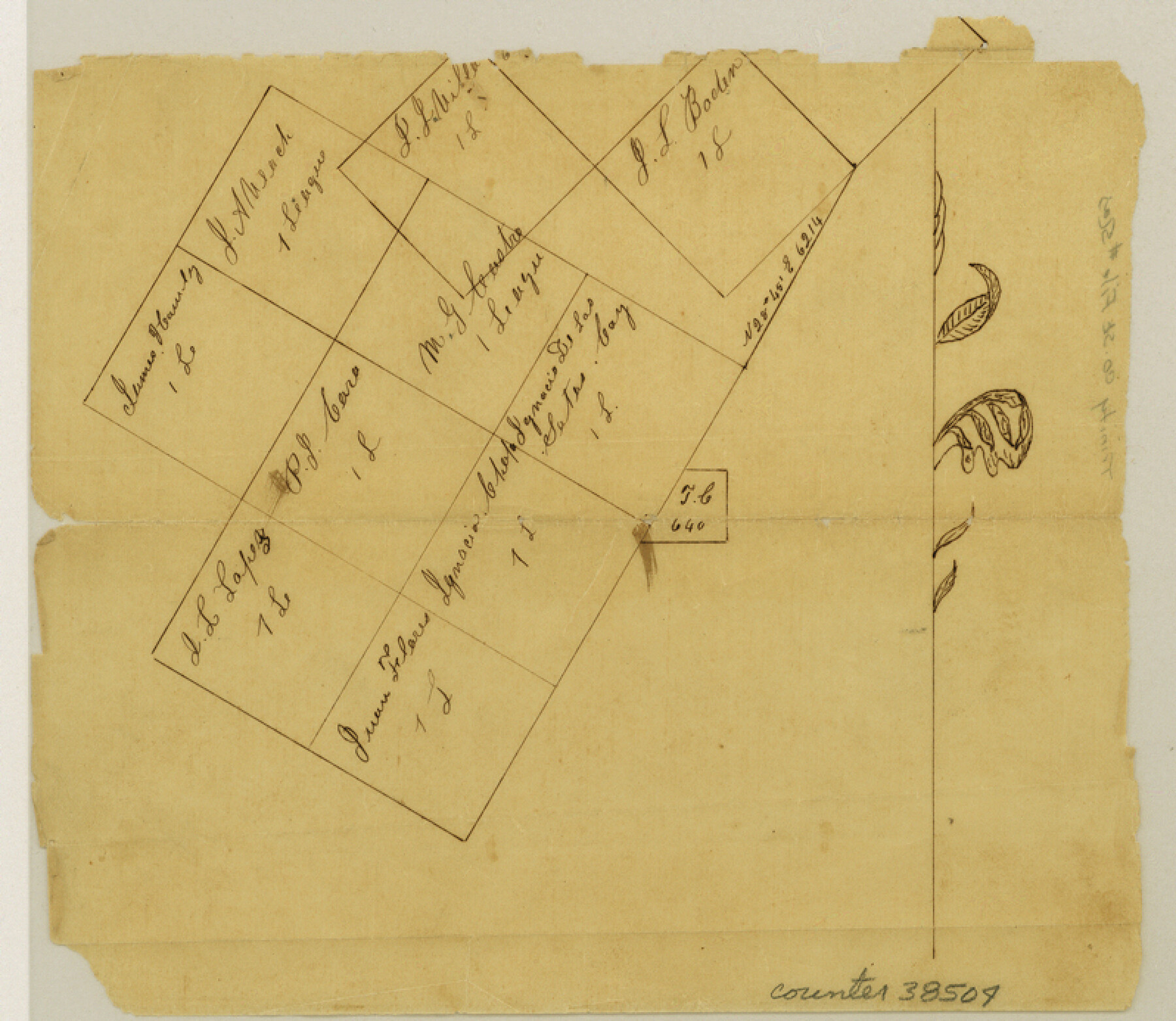 38504, Trinity County Sketch File 5a, General Map Collection