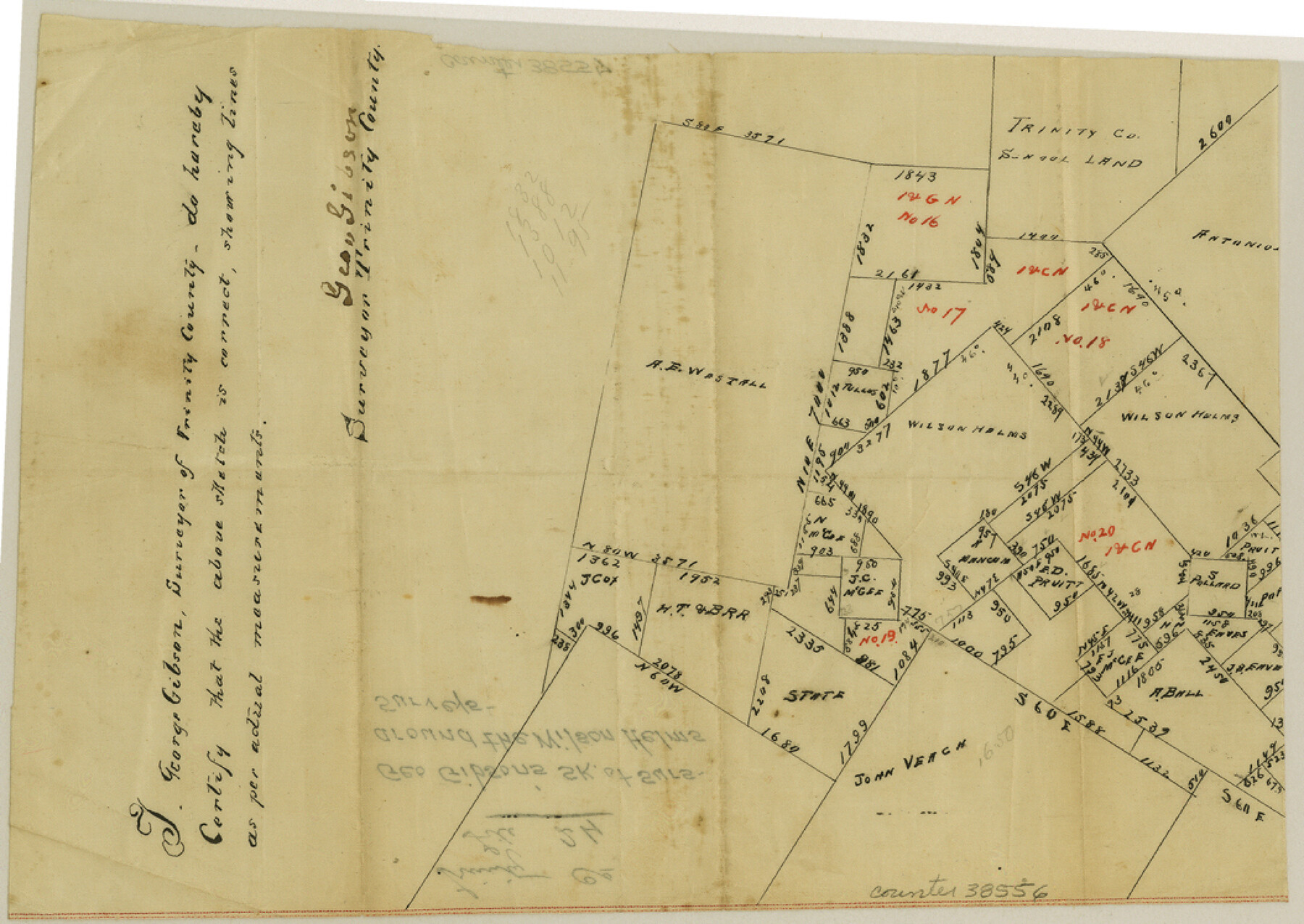 38556, Trinity County Sketch File 24, General Map Collection