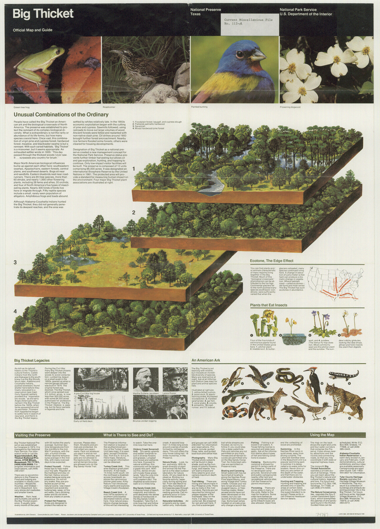 74787, Current Miscellaneous File 113, General Map Collection