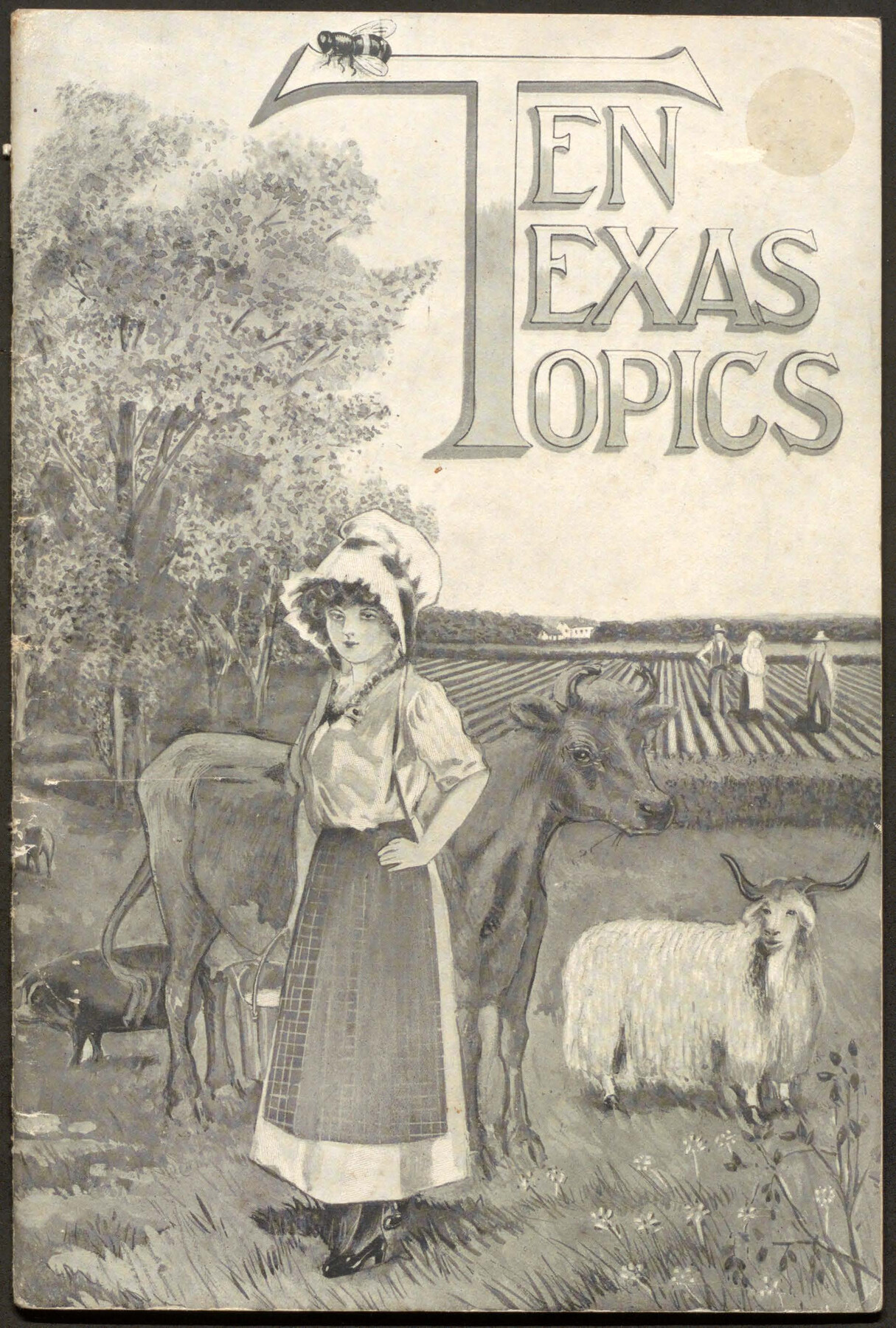 Ten Texas Topics