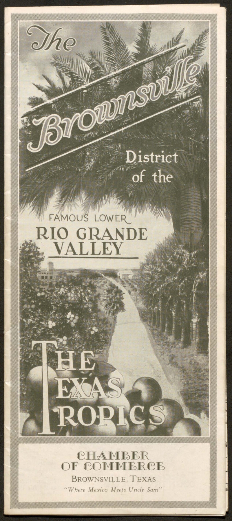 The Brownsville District of the Famous Lower Rio Grande Valley - The Texas Tropics