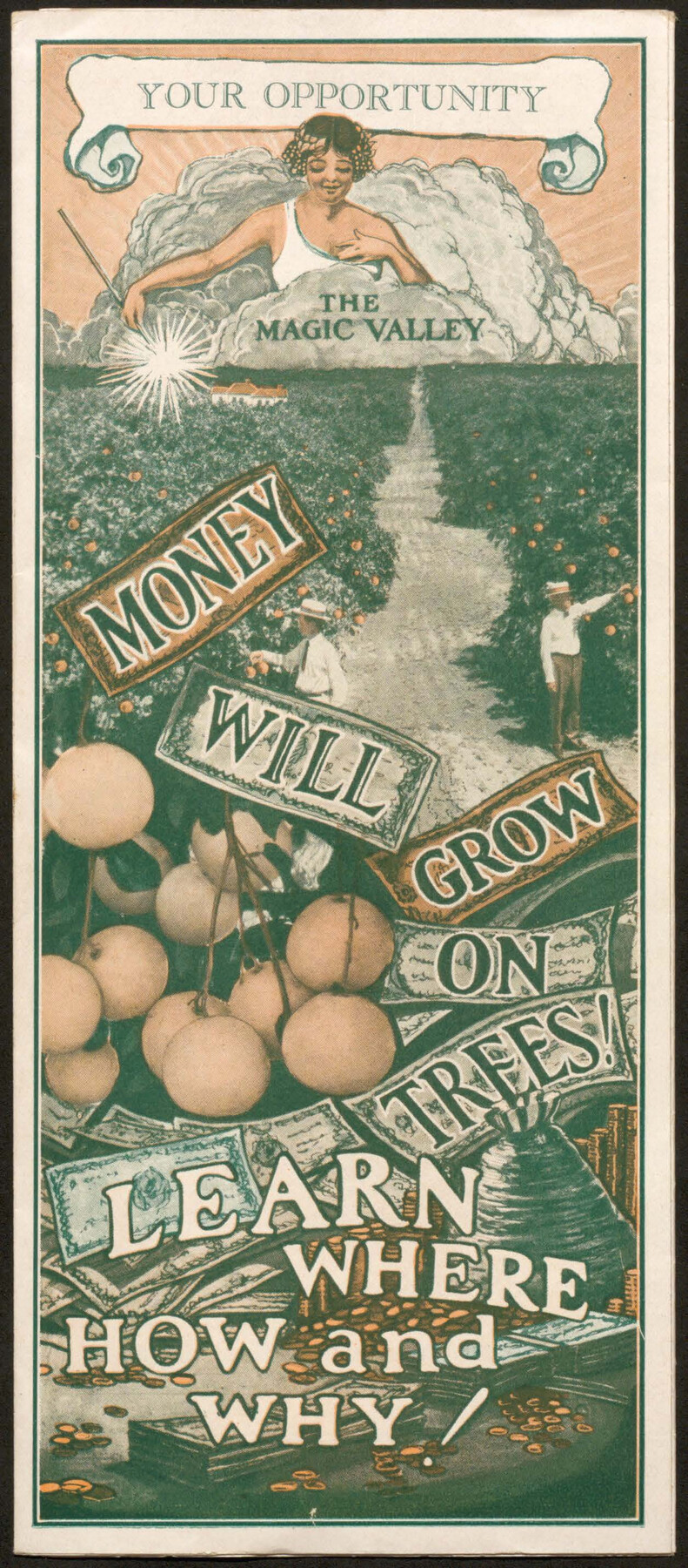 Your Opportunity - the Magic Valley - Money Will Grow on Trees! Learn Where How and Why!