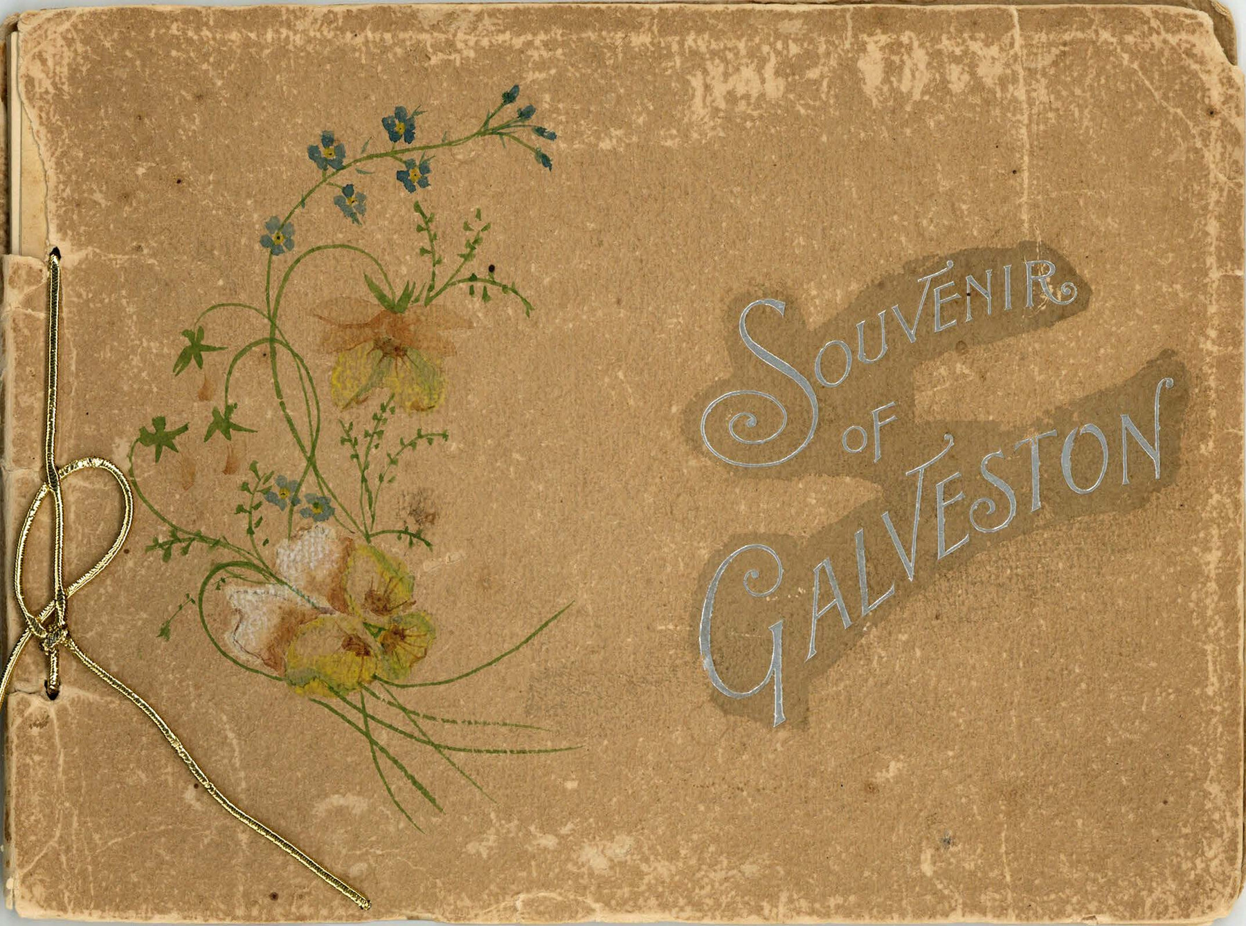 97049, Souvenir of Galveston