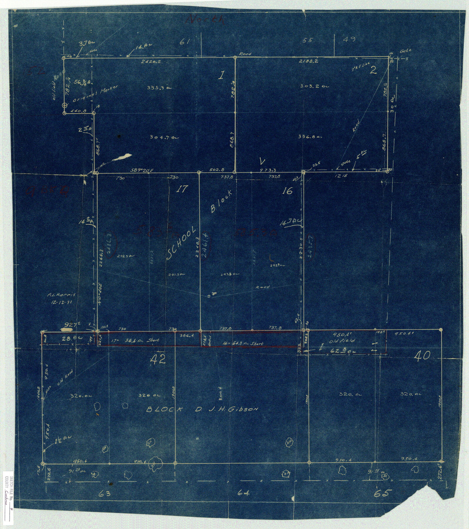 11100, Cochran County Sketch File 4, General Map Collection