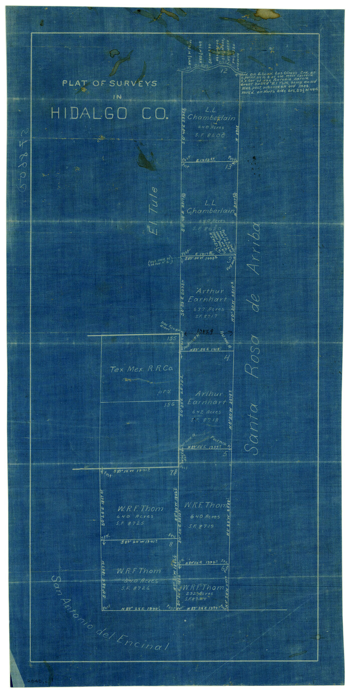 405, Plat of Surveys in Hidalgo Co., Maddox Collection
