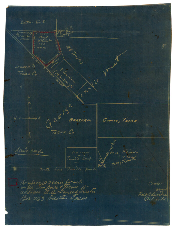 10751, [George Tenille Grant, Brazoria County, Texas], Maddox Collection
