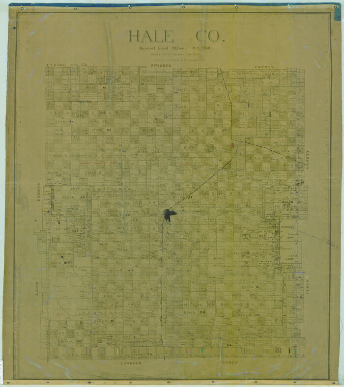 16841, Hale Co., General Map Collection