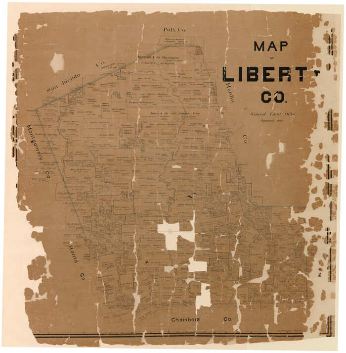 16878, Map of Liberty County, General Map Collection
