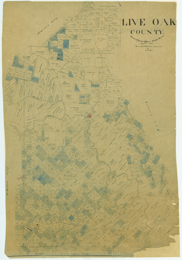 16882, Live Oak County, General Map Collection