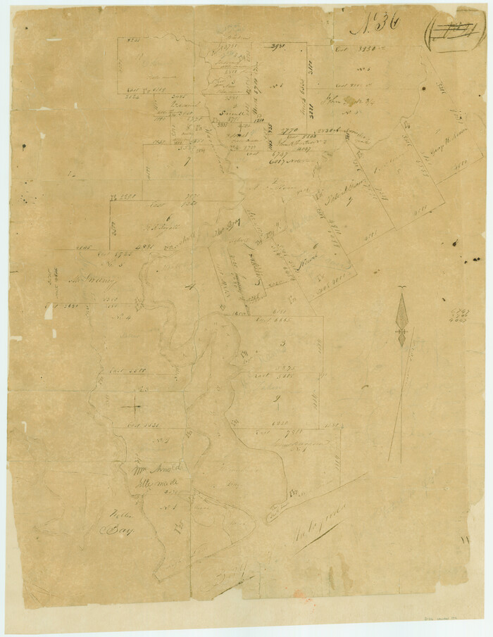 172, [Surveys in Austin's Colony at Carancahua Bay], General Map Collection