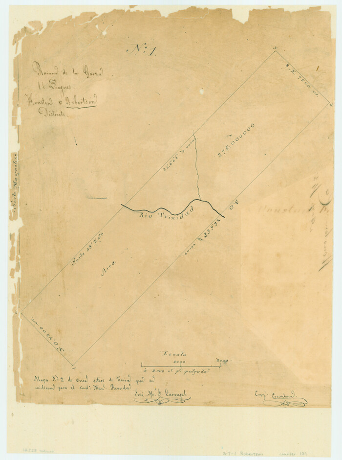 181, Ramon de la Garza 11 Leagues Houston and Robertson Districts, General Map Collection