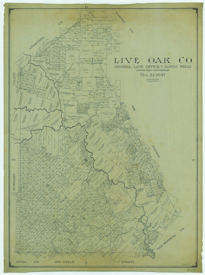 1884, Live Oak Co., General Map Collection