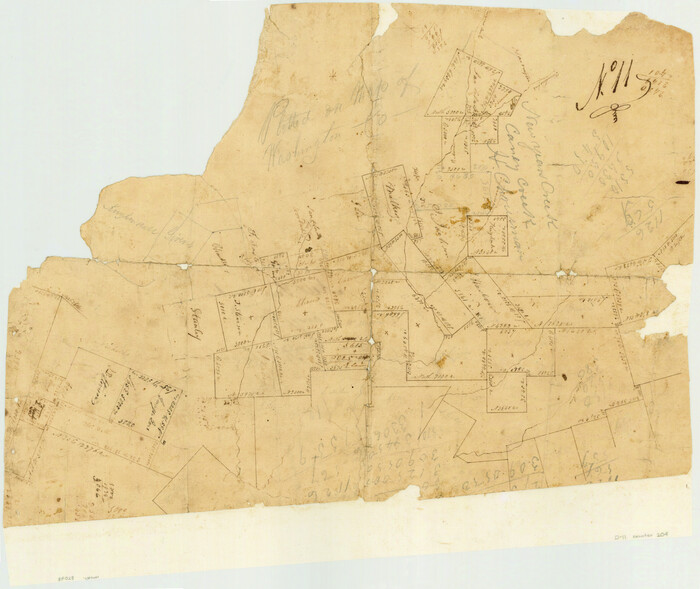204, [Surveys in Austin's Colony along New Year's Creek], General Map Collection