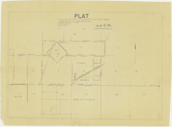 2062, Plat showing surveys made for N. Vasquez, Sr. of Casa Piedra, Texas in Block 312, T. C. Ry. Co., General Map Collection