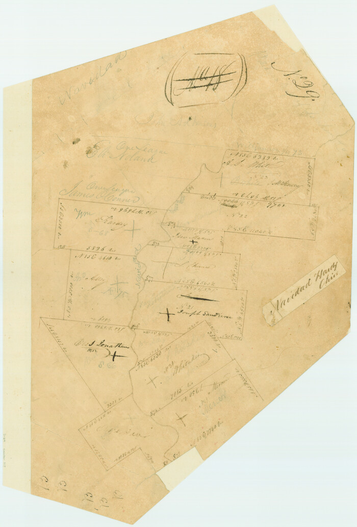 217, [Surveys in Austin's Colony on both sides of the Navidad River], General Map Collection