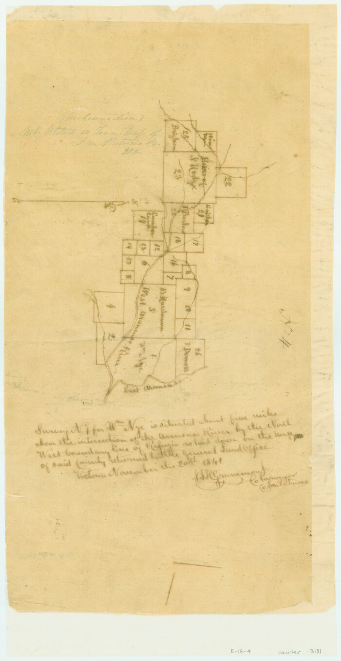 3181, [Surveys in the San Patricio District along the West Aransas River], General Map Collection