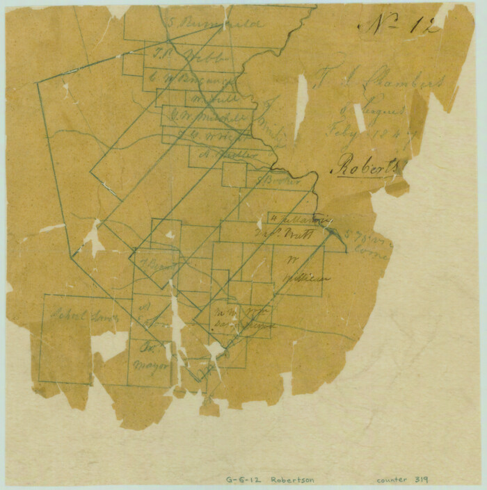 319, [T. J. Chambers' grant], General Map Collection