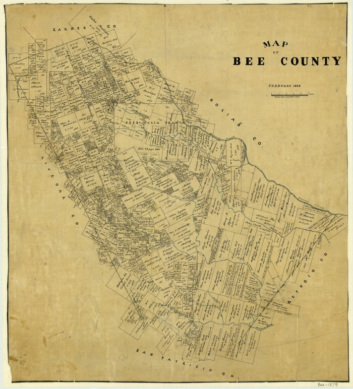 3289, Map of Bee County, General Map Collection
