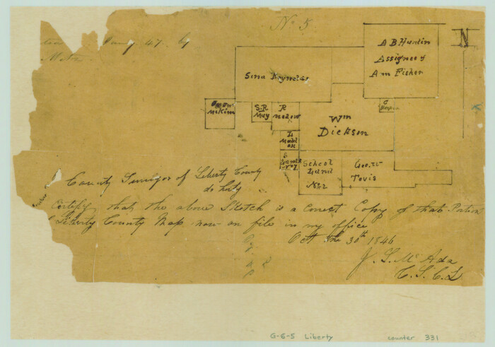 331, [Surveys in the Liberty District in Tyler and Polk Counties], General Map Collection