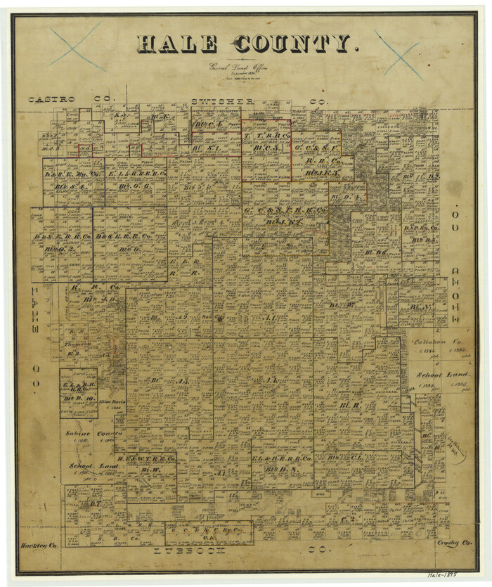 3612, Hale County, General Map Collection