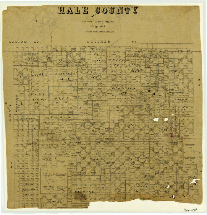 3613, Hale County, General Map Collection