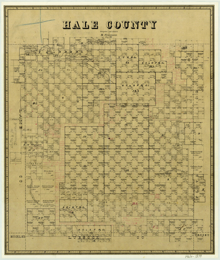 3615, Hale County, General Map Collection