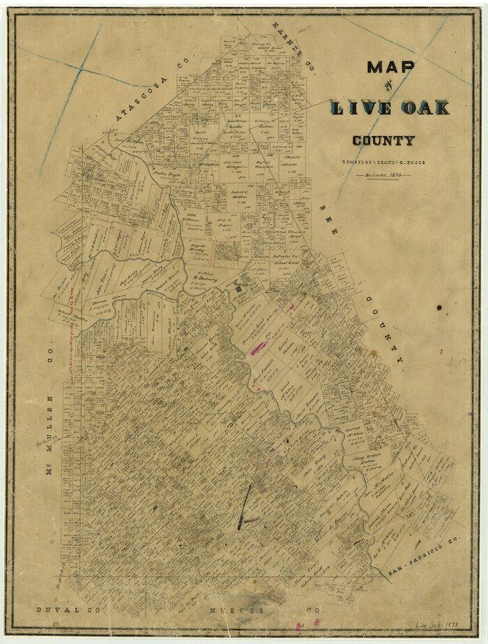 3823, Map of Live Oak County, General Map Collection