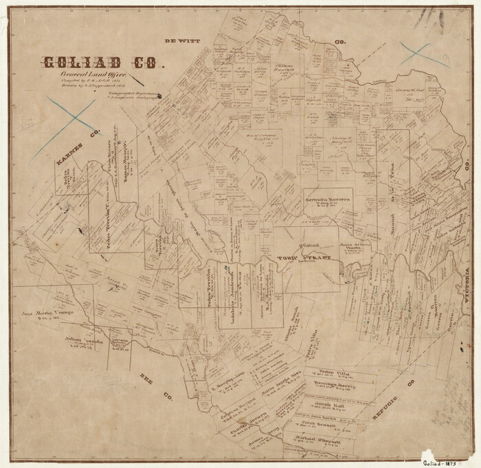4546, Goliad County, General Map Collection
