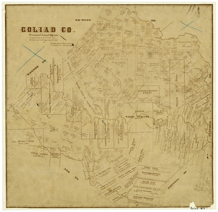 4546, Goliad County, General Map Collection