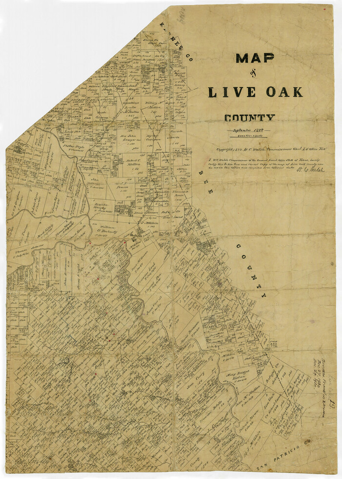 4580, Live Oak County Sketch File 19, General Map Collection
